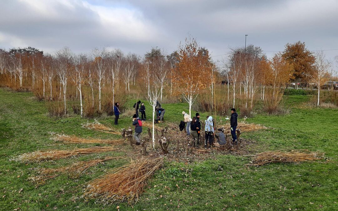 Visite au parc des Lilas de Vitry-Sur-Seine