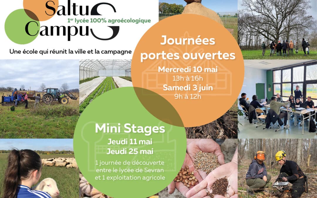 Journées portes ouvertes et mini stages