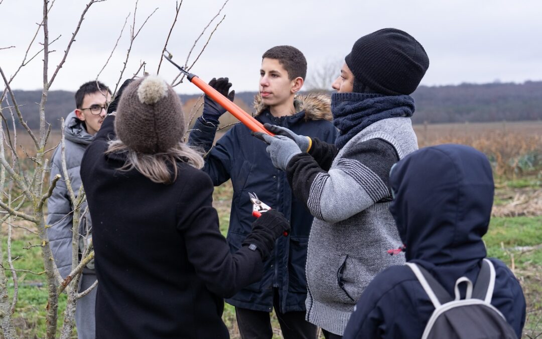 Une session autour de l’Arbre