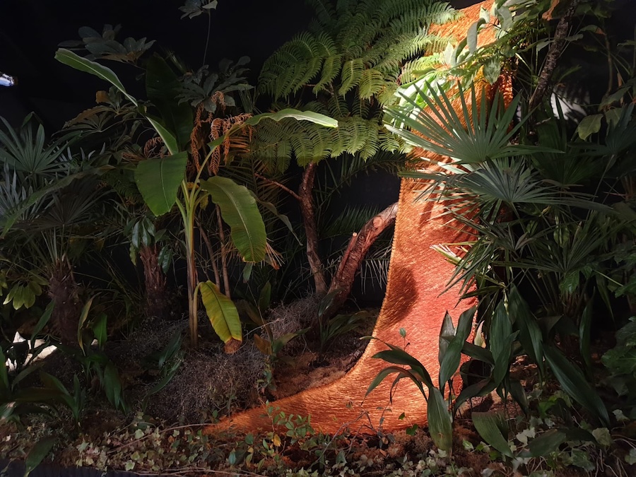 PHOTO-2025-11-13-18-16-25