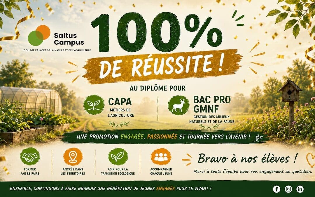 100 % de réussite aux examens